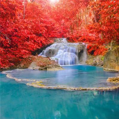 火博体育官方网入口下载